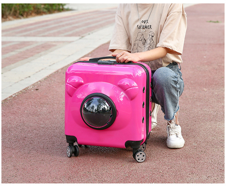 Multifunctional pet airline box for dogs